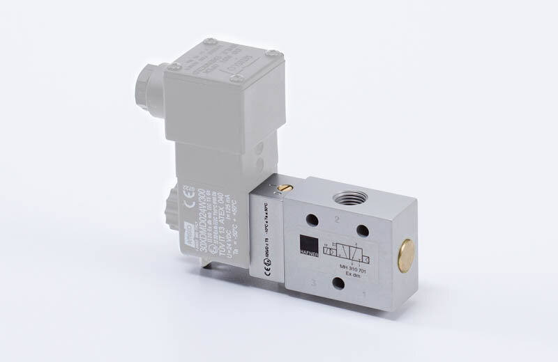 MH 310 701 EX DM